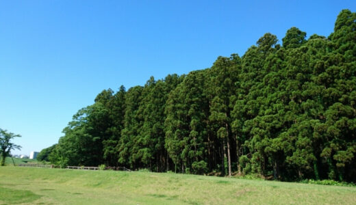 春の千波公園