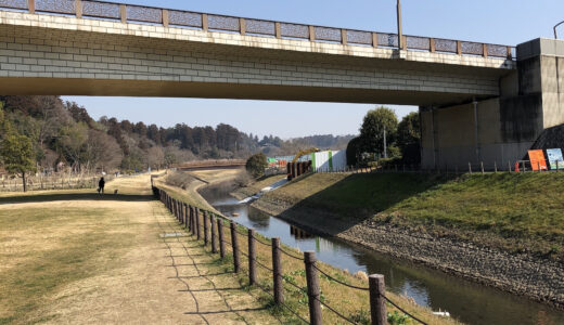 久しぶりの千波公園、そろそろ梅の時期ですね。