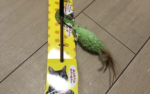 クロ社長の【猫用じゃらし もじゃっとチューチュー】リアクション